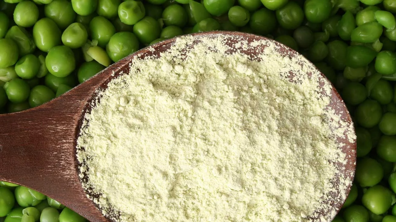 Proteína de ervilha biológica em pó