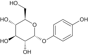 What is alpha arbutin