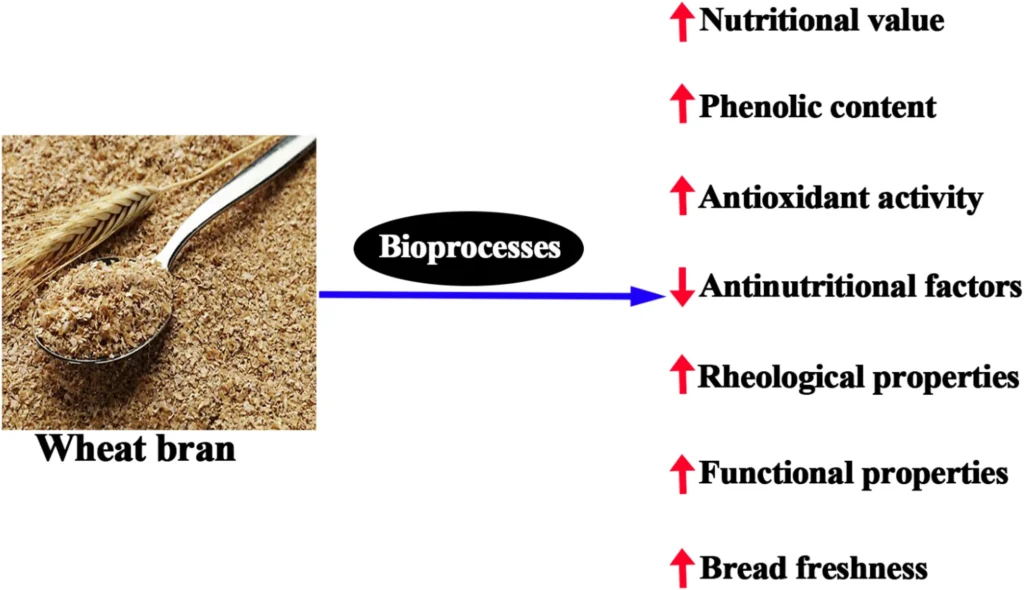 Top 7 Science-Backed Benefits of Wheat Germ Extract