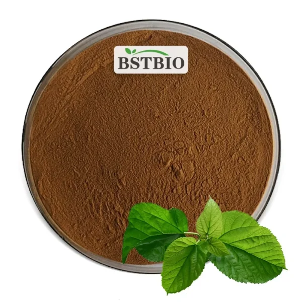 Mulberry Leaf Extract DNJ 1%-10%