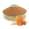 Organic Cordyceps Militaris
