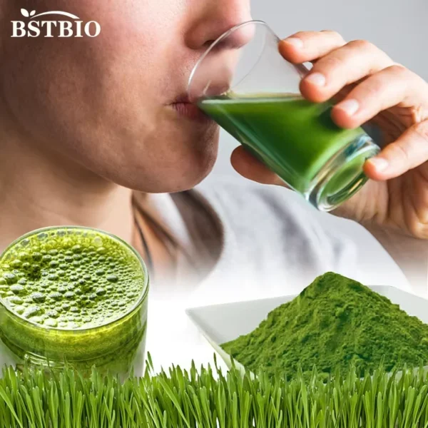 Organic Barley Grass Powder – Bild 5