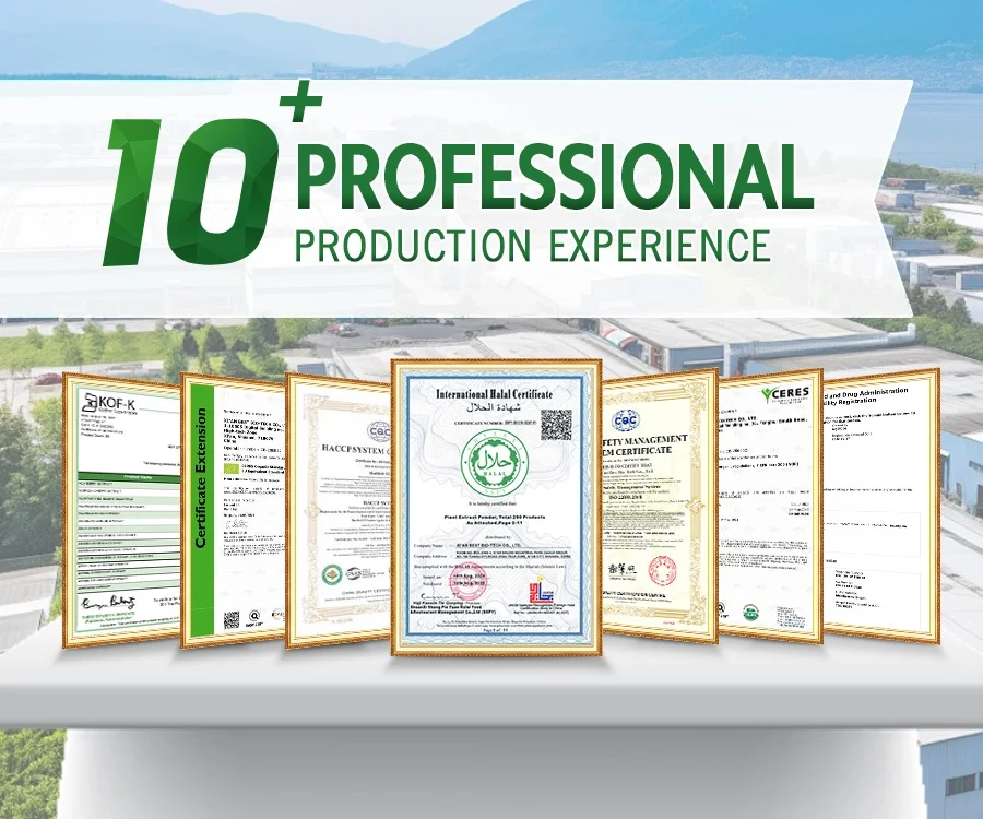 Certificate 2