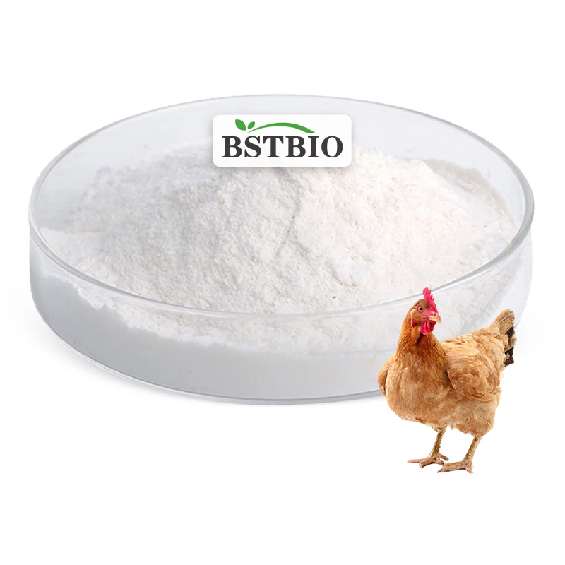 Collagen Type ll Powder 1