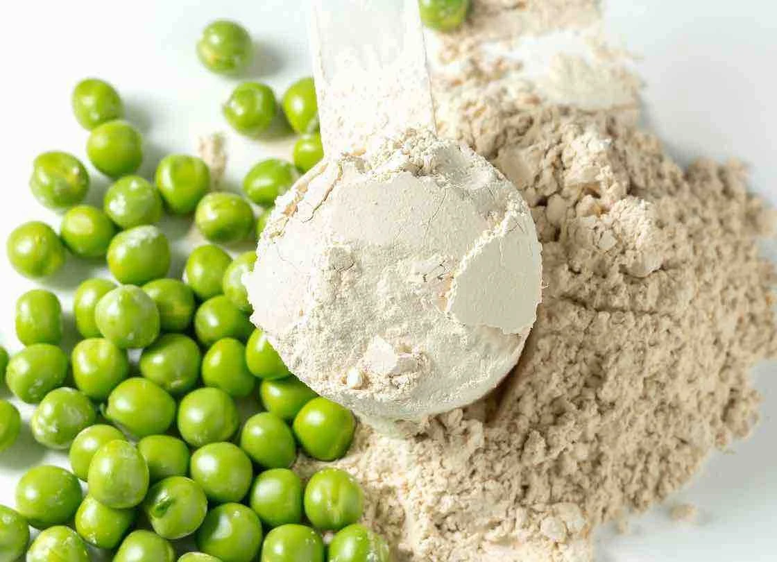 Pea vs Whey.YES