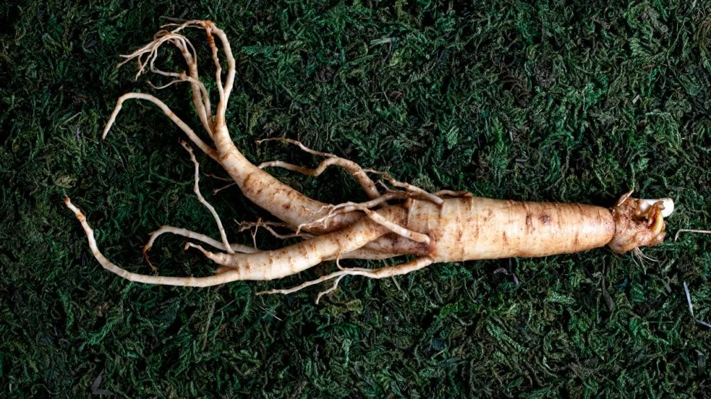  Ginseng
