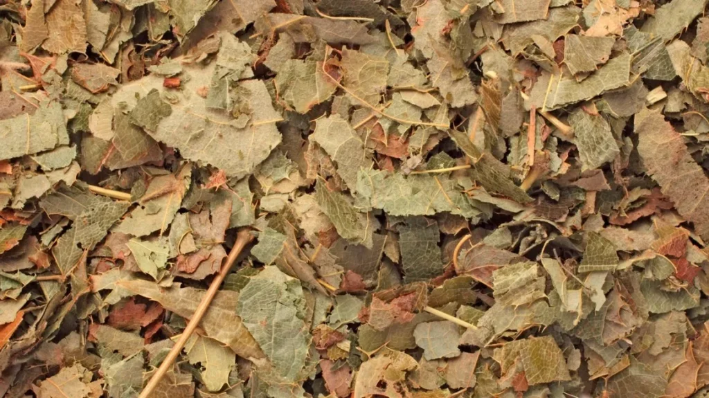 Was ist Epimedium-Extrakt?