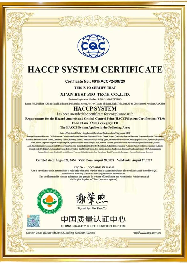 HCCP