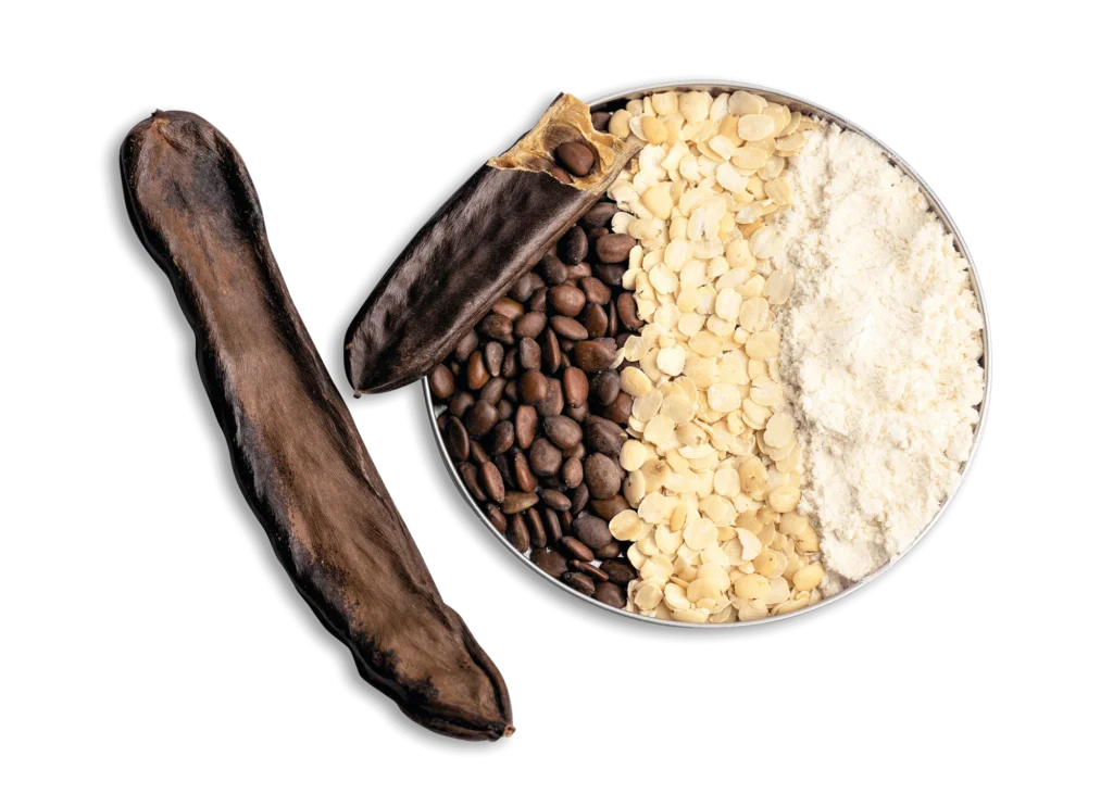 Johannisbrotkernmehl Pulver 