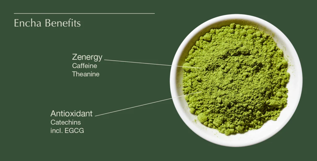 encha macha benefits