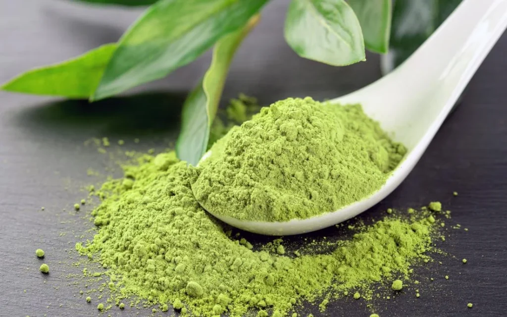 matcha powder in white ceramic spoon