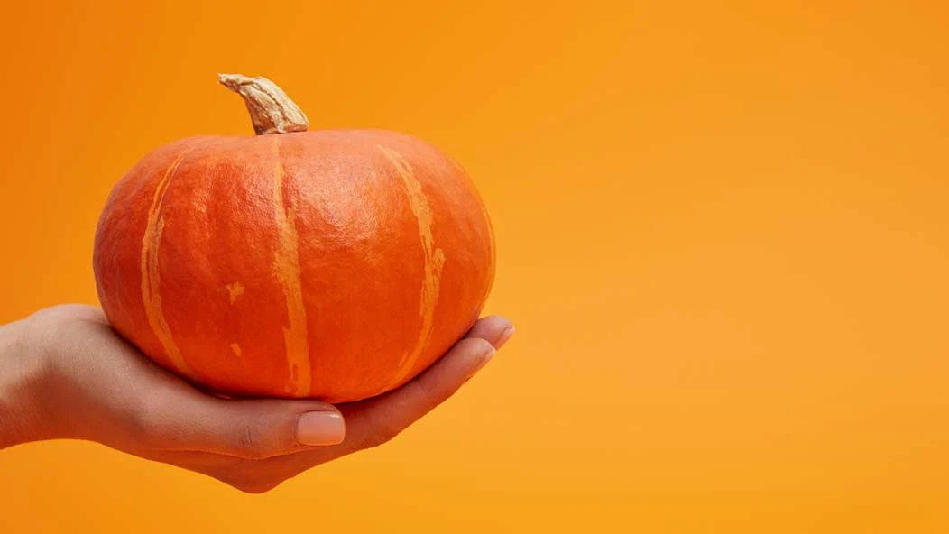 pumpkin blog banner