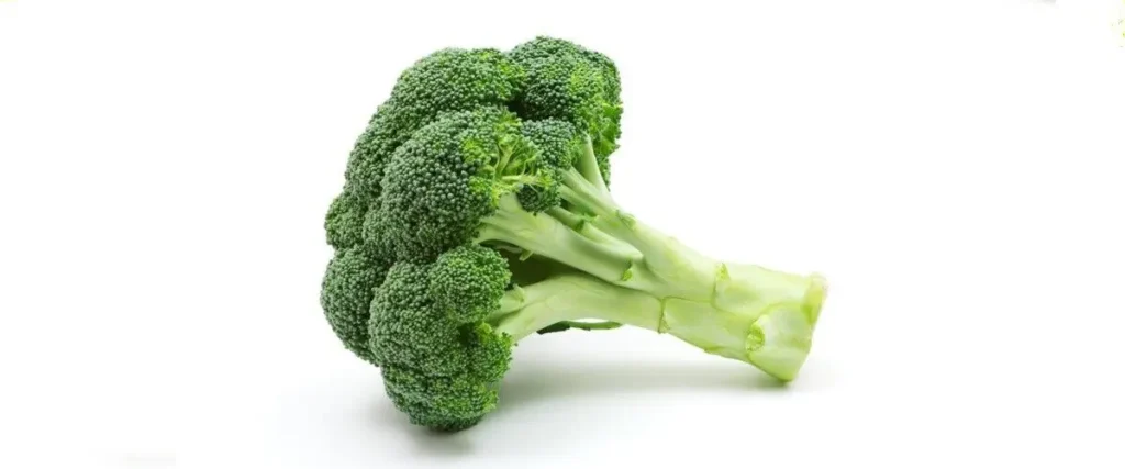 2019 Glucoraphanin Vs. Sulforaphane The Best Antioxidant and Key Nutrient In Broccoli
