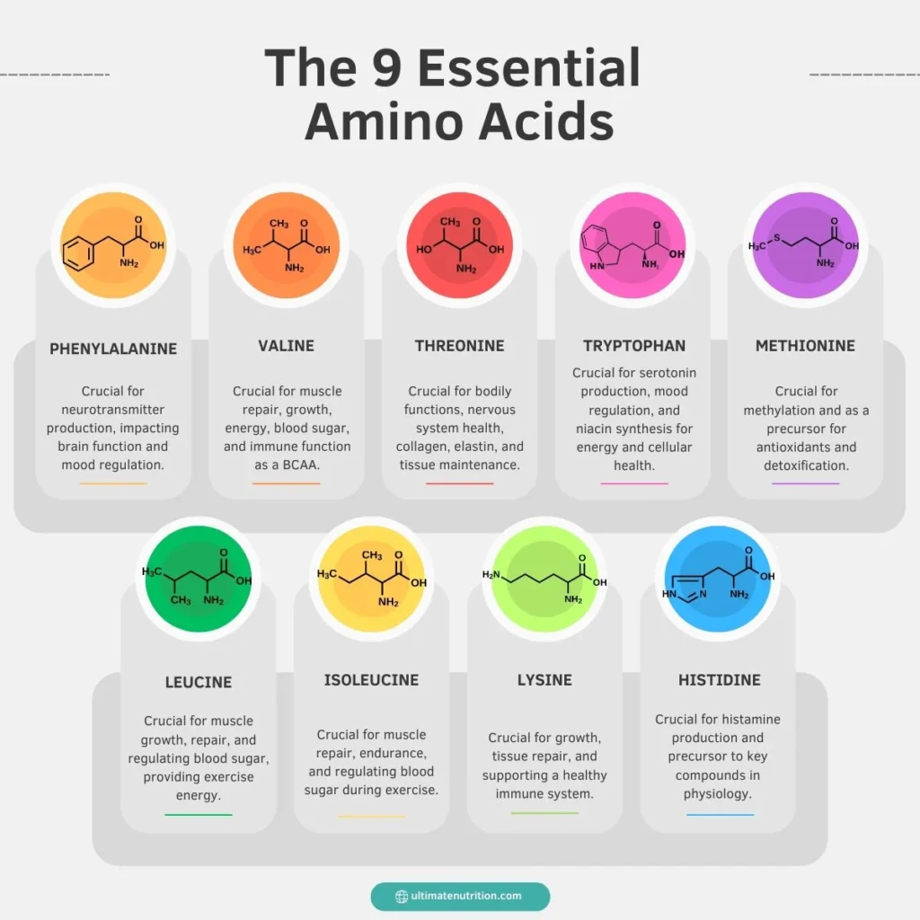The 9 Essential Amino Acids Final
