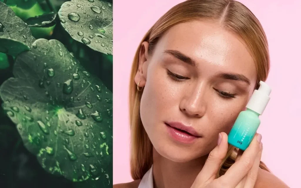 centella asiatica super skincare ingredient