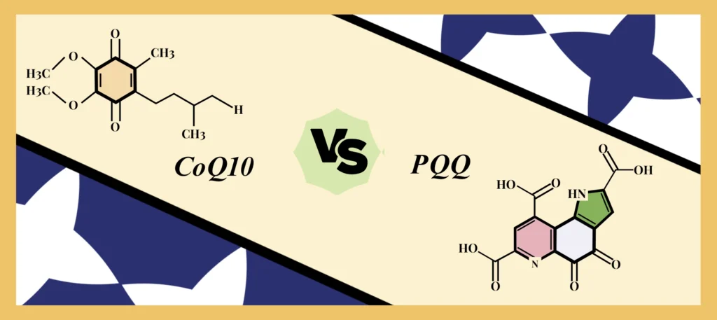 coq10 vs pqq