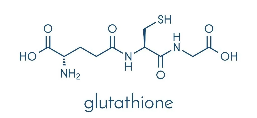 glutathione 1024x471 1920w