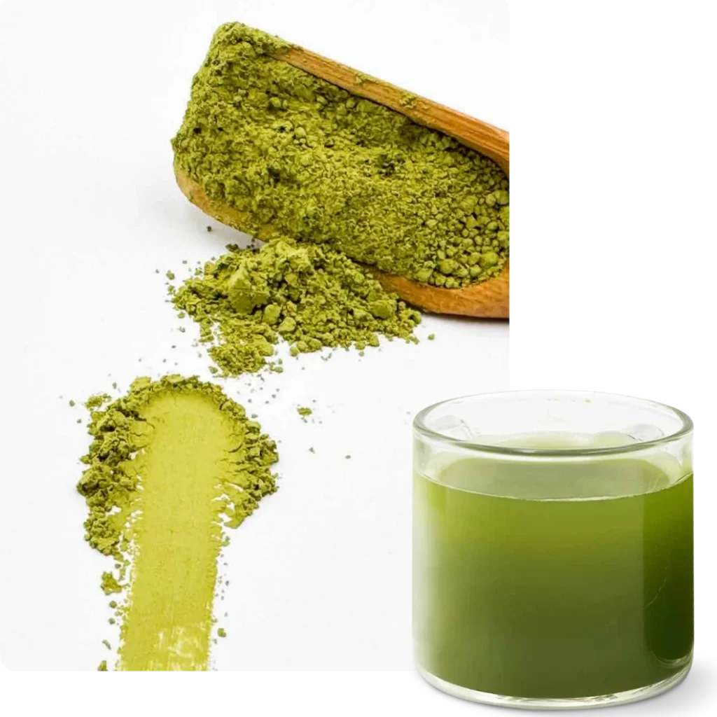 음료 등급 말차 BST D1 2