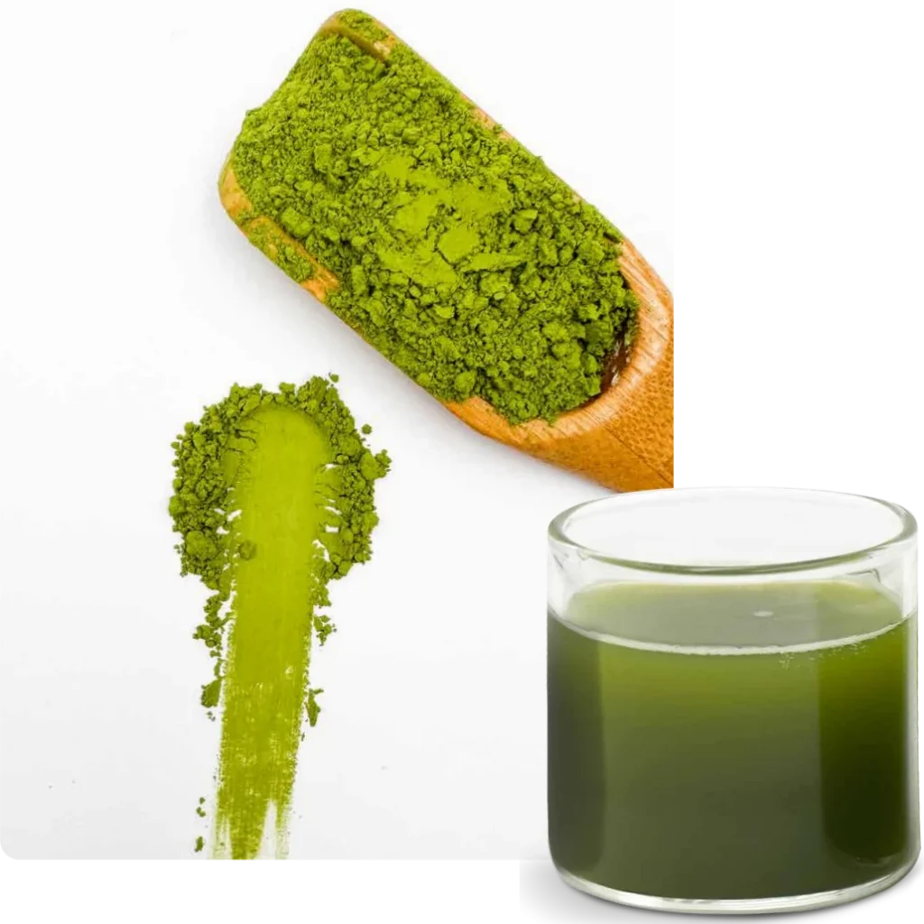 음료 등급 말차 BST D2 1