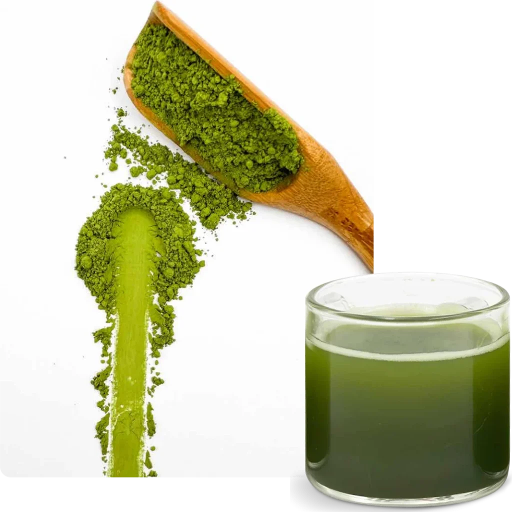 음료 등급 말차 BST D3 1