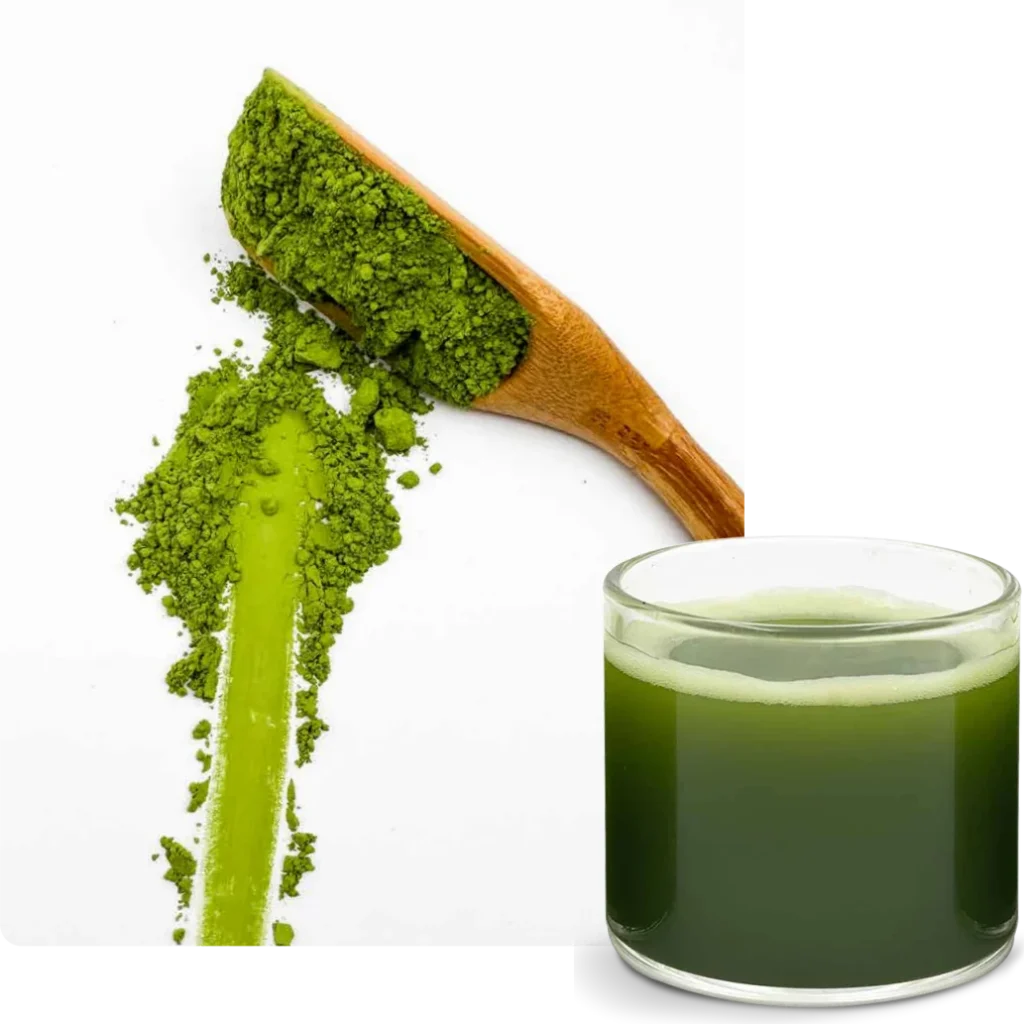 음료 등급 말차 BST D4 1