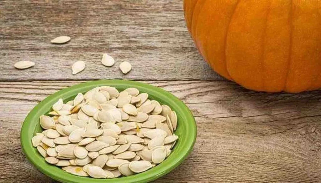 pumpkin seed protein3 1024x585 1024x585 1