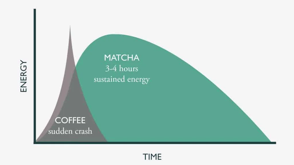 Matcha Powder Benefits: Skin, Hormones, & Weight Loss (The 2025 Science-Backed Guide) 8 wp caffeine in matcha vs coffee 1024x576 1