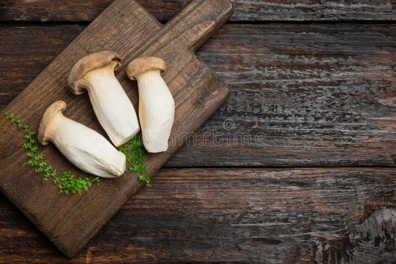 King Trumpet Mushroom Benefits: 7 Science-Backed Reasons This Fungi Deserves a Spot on Your Plate 5 Fresh king trumpet mushrooms with thick white stems and brown caps on wooden cutting board