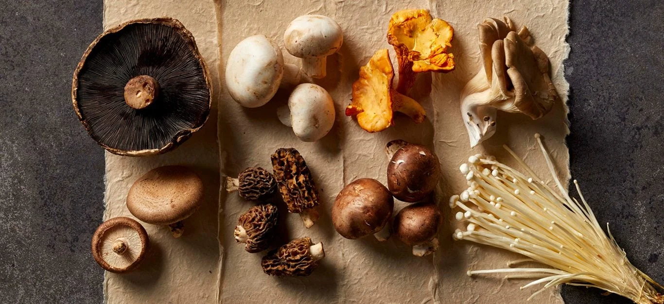 King Trumpet Mushroom Benefits: 7 Science-Backed Reasons This Fungi Deserves a Spot on Your Plate 7 Assorted mushroom varieties displayed side by side for comparison