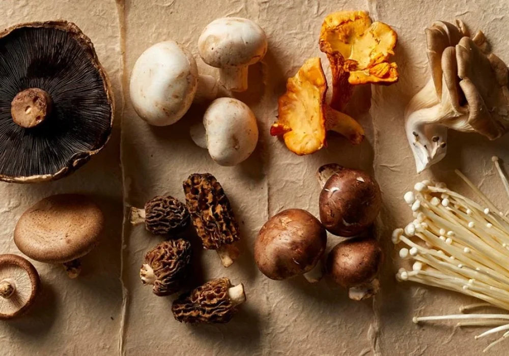 03-mushroom-varieties-comparison