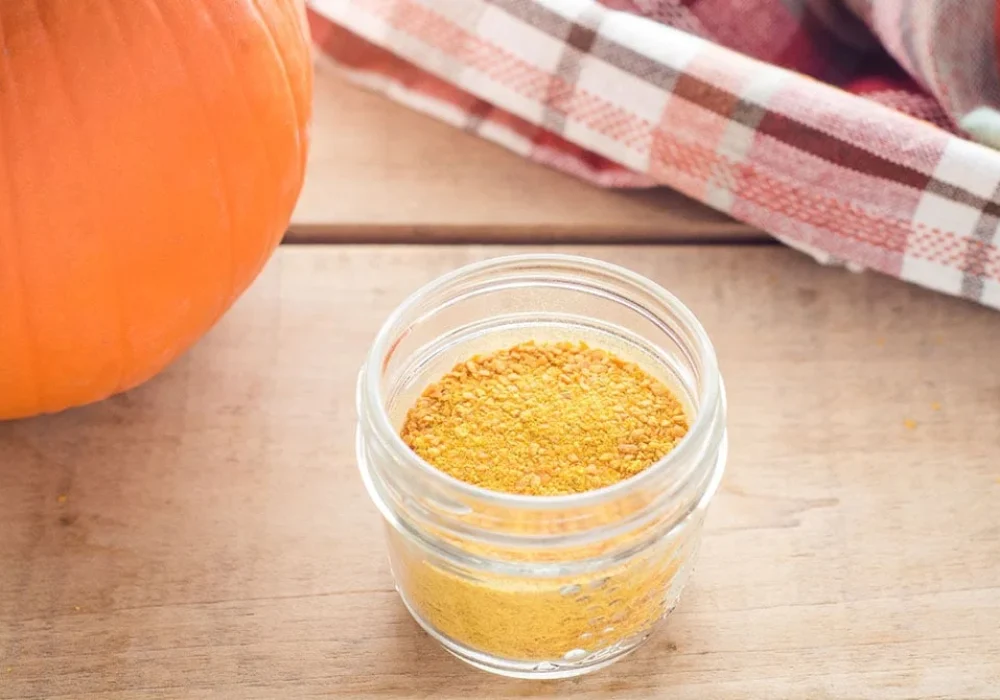 How-To-Dehydrate-Pumpkin-Puree-h1